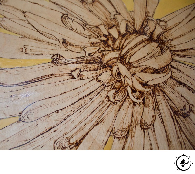 Yellow Chrysanthemum - Detail