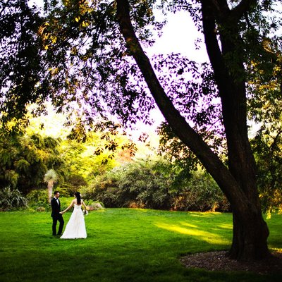 Brooklyn Botanic Garden Wedding Photography