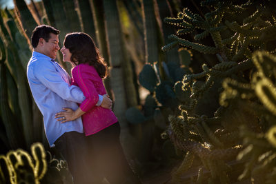 Desert Botanical Gardens Engagement Shoot - Scottsdale Wedding Photographers - Ben and Kelly Photography