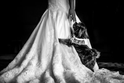 Best Wedding Photos at the Phoenician in Scottsdale - Scottsdale Wedding Photographers - Ben and Kelly Photography