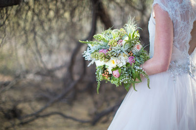 Bride in Scottsdale Arizona - Best Scottsdale Wedding Photographers - Ben and Kelly Photography