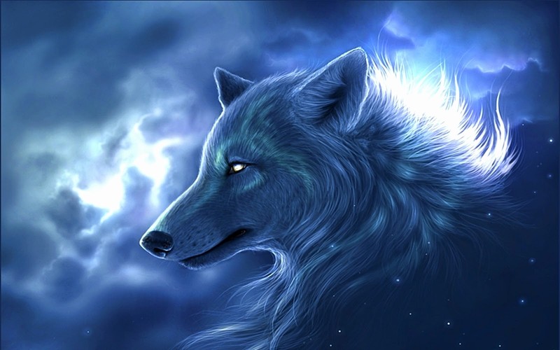 3d wolf wallpaper Elegant HQ Wallpapers 3D Wolf s Ideas