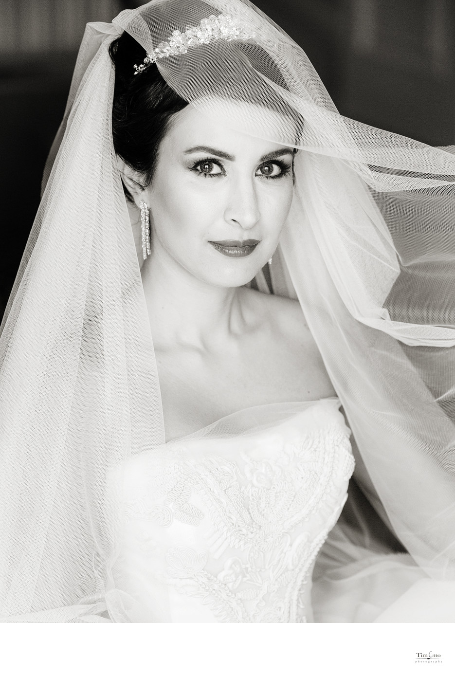 Beautiful Bride Portrait
