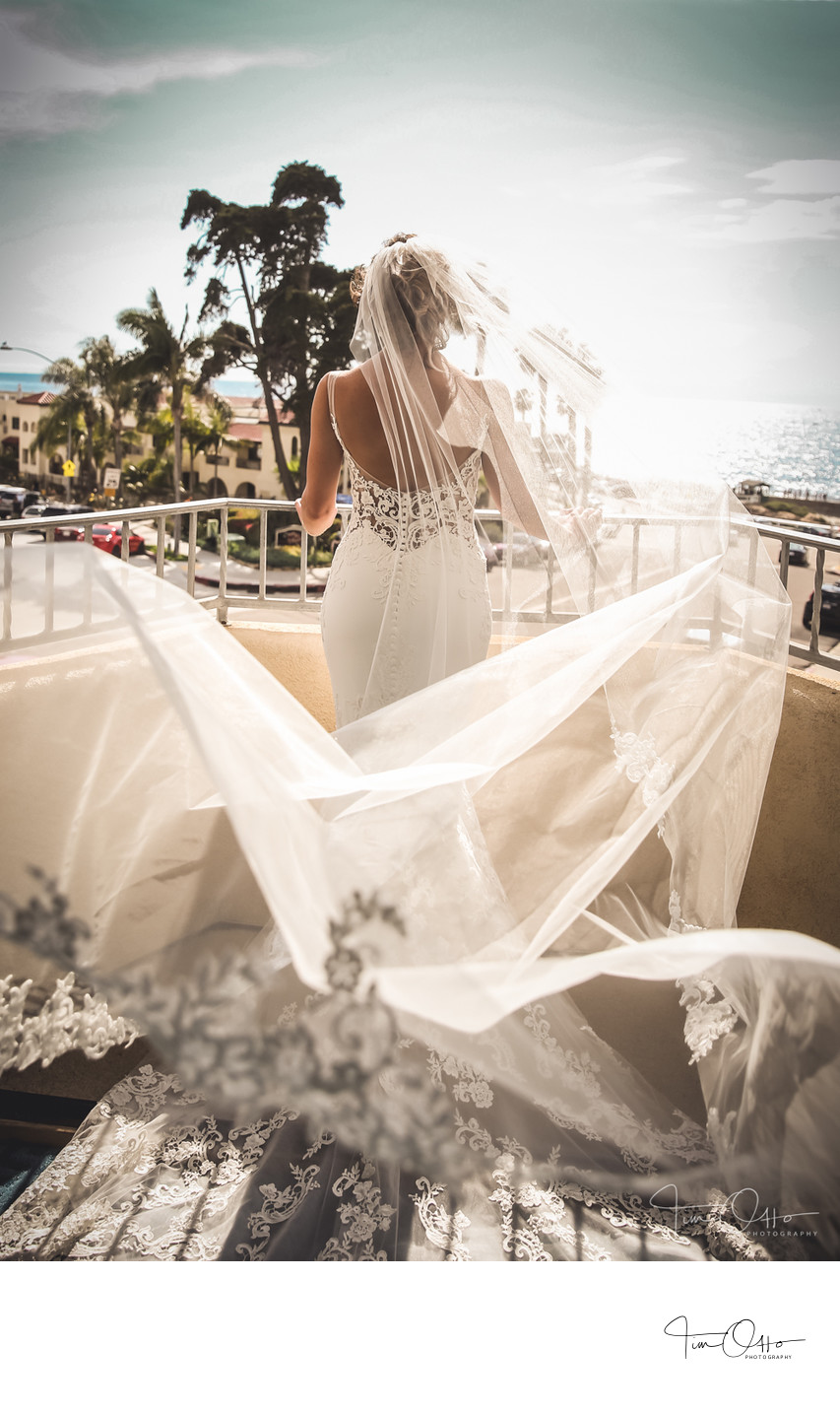 bride with veil in the wind