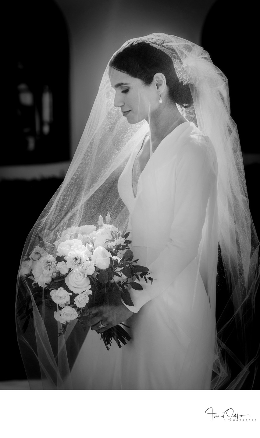 Bridal portrait with veil