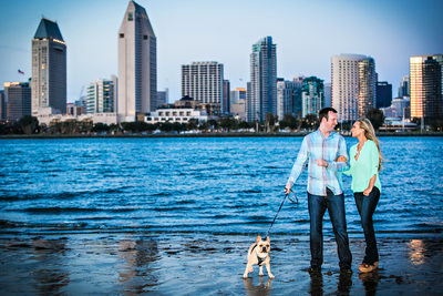 Centennial park and San Diego Skyline Picture