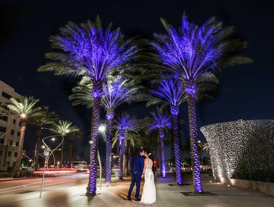 Intercontinental sd Hotel bride and groom night shot