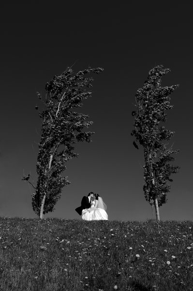 Black & White Wedding Landscape