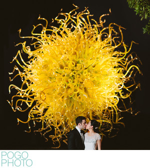 Vermont Florida Wedding Photography By Pogo Photo