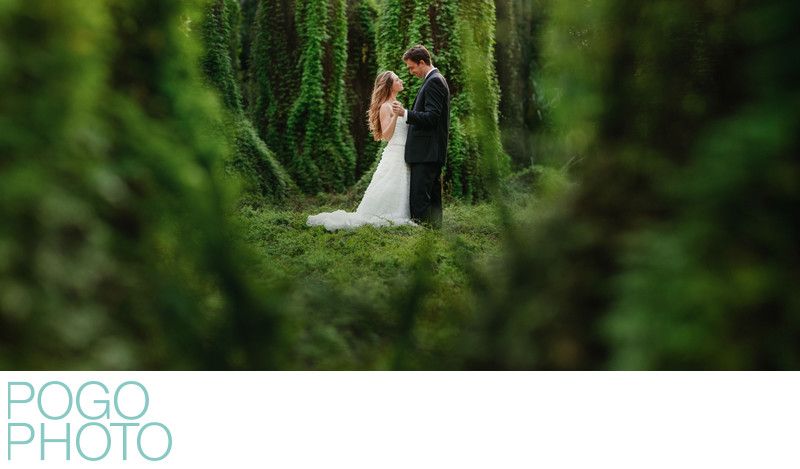 Post Wedding Portraits in Natural Florida Greenery