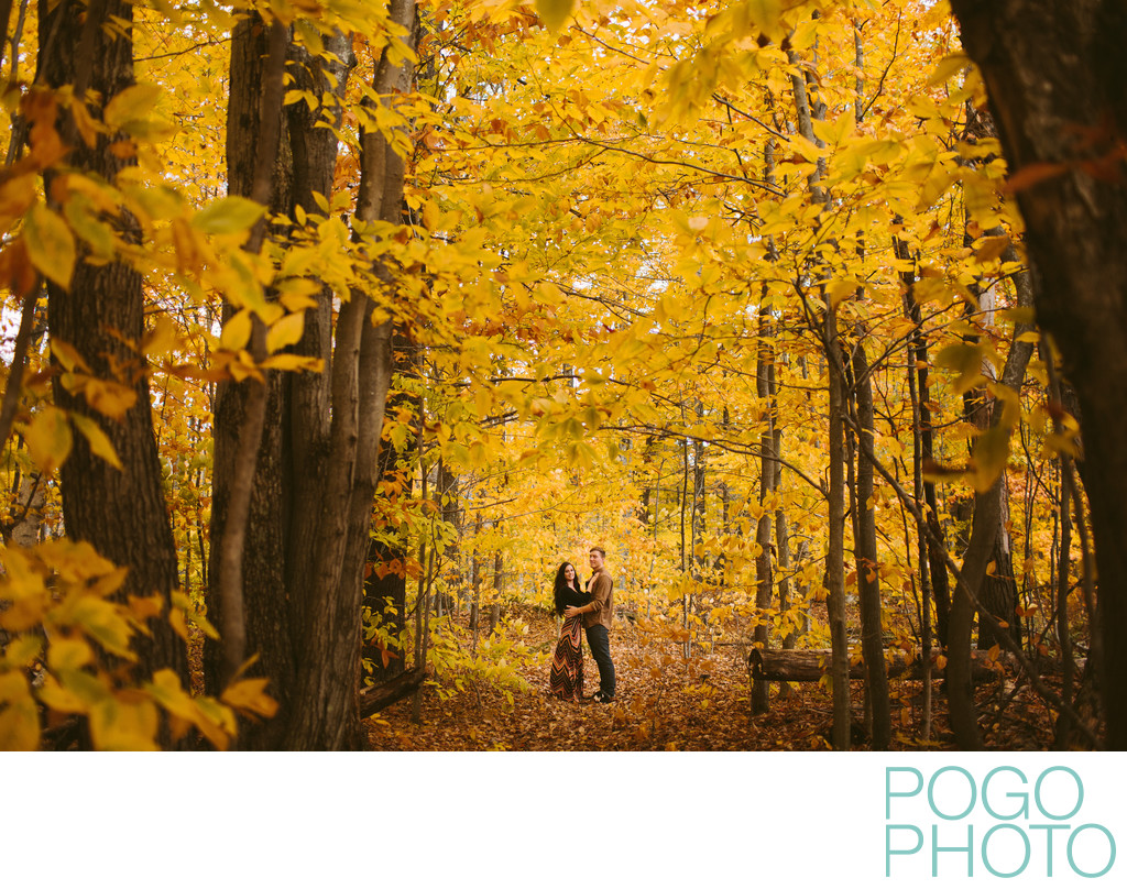 Romantic yellow foliage portraits in Vermont