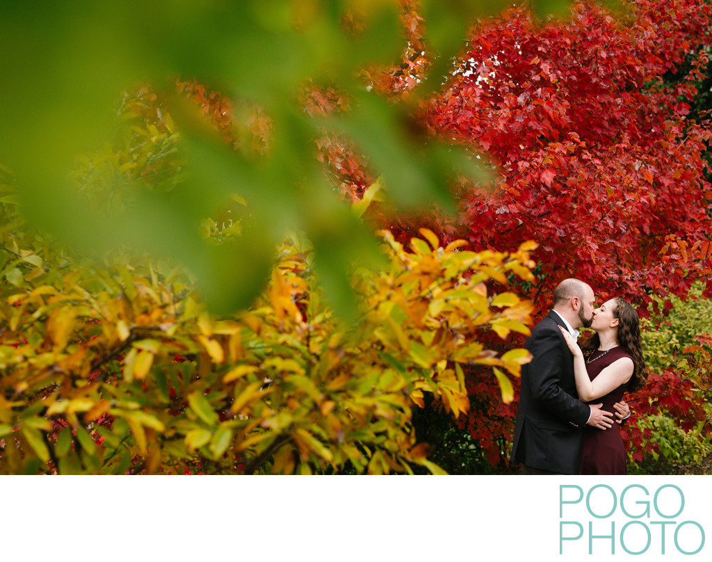 Southern Vermont Fall Foliage Engagement Session
