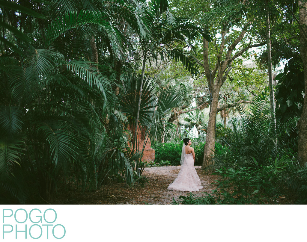 Bridal portraits in the Jungle, West Palm Beach