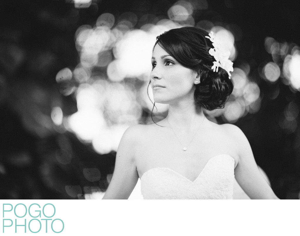 Timeless Black and White Bridal Portrait at The Addison