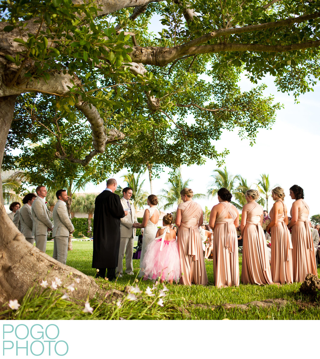 Tropical Wedding Under Banyan Tree with Peach Dresses