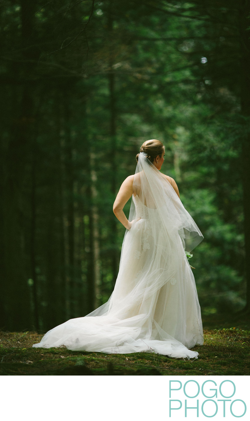 Dramatic Bridal Portrait in Vermont Pine Forest