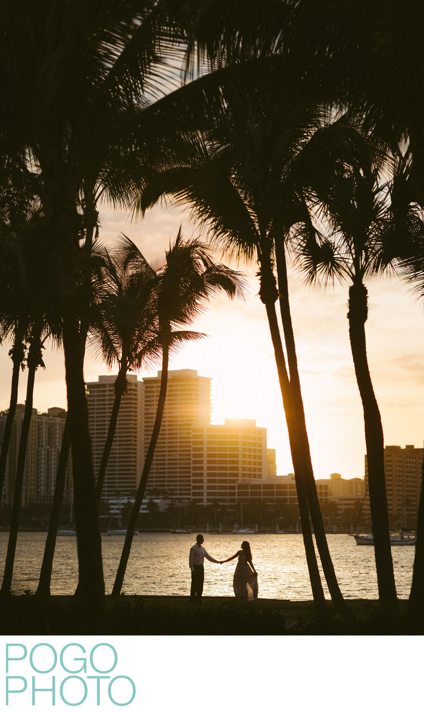 Romantic Sunset Palm Tree Photo at Whitehall Palm Beach