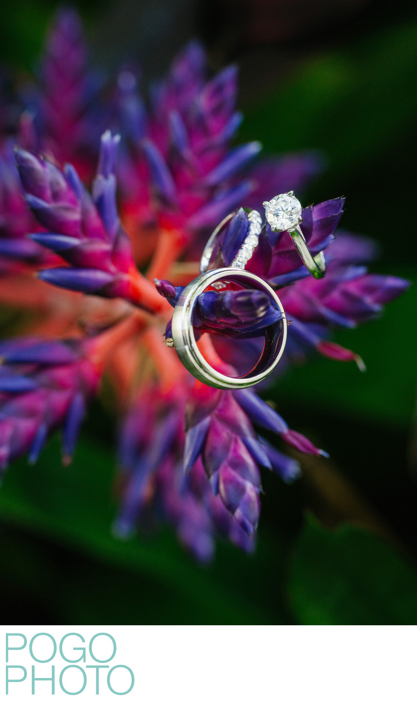 Tropical Wedding Ring Detail Photo with Blue Bromeliads