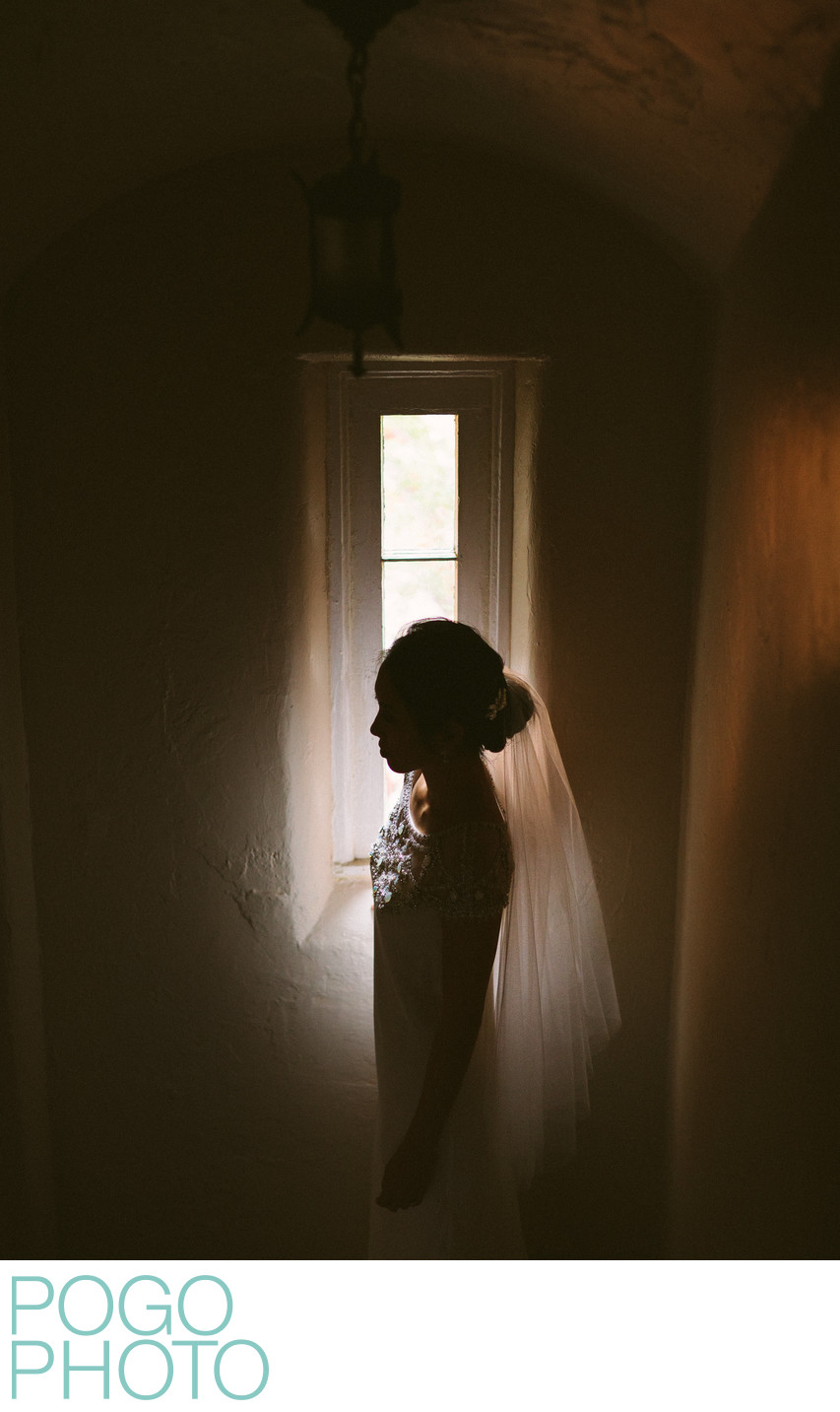 Miami Moody Silhouette Bridal Photo at Villa Valentino