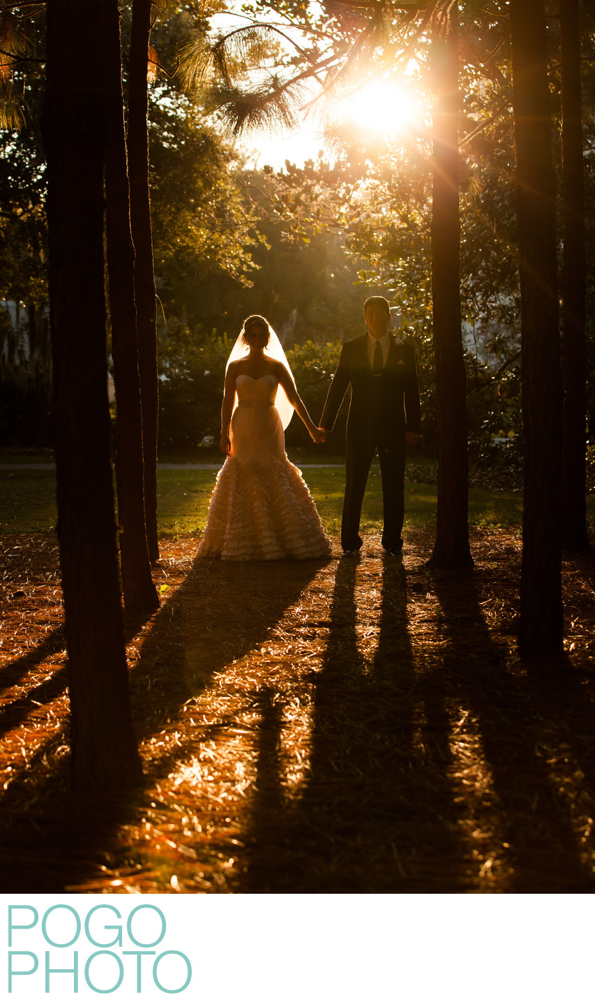 Dramatic Wedding Couple Portrait in Pine Tree Forest