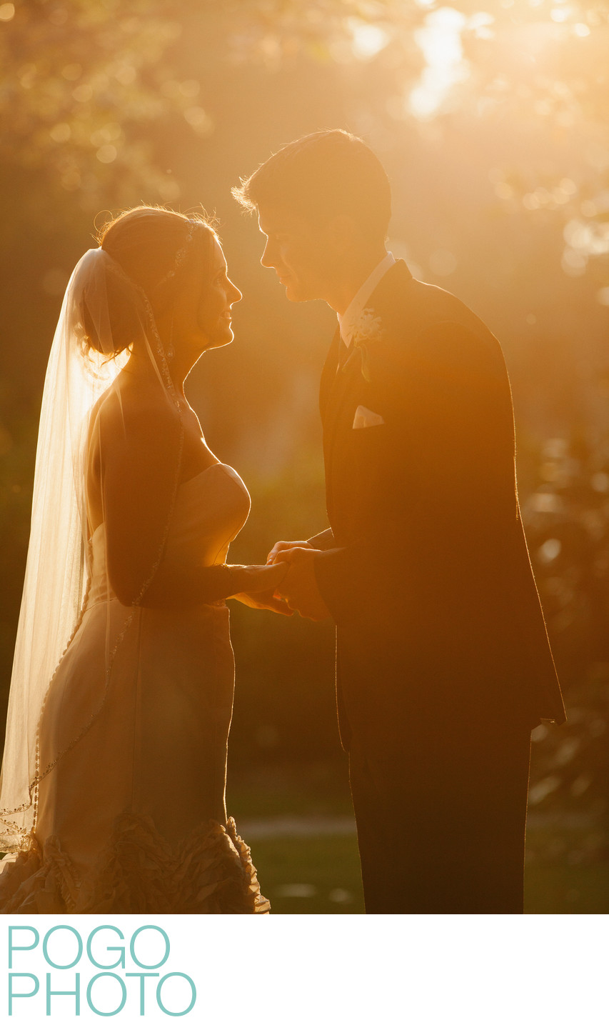 Fairytale Wedding Portrait in Glowing Charleston Sunset