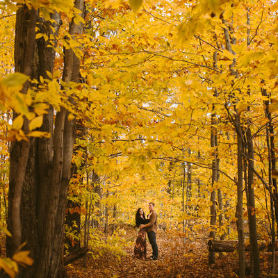 Romantic yellow foliage portraits in Vermont