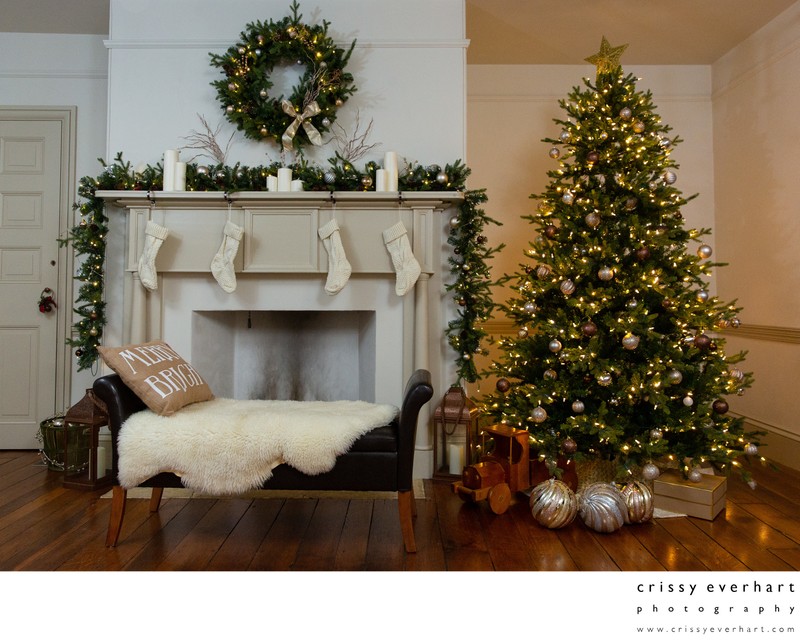 Holiday and Christmas Portraits in Malvern