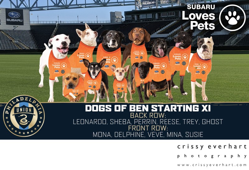 Dogs of Ben at the Philadelphia Union