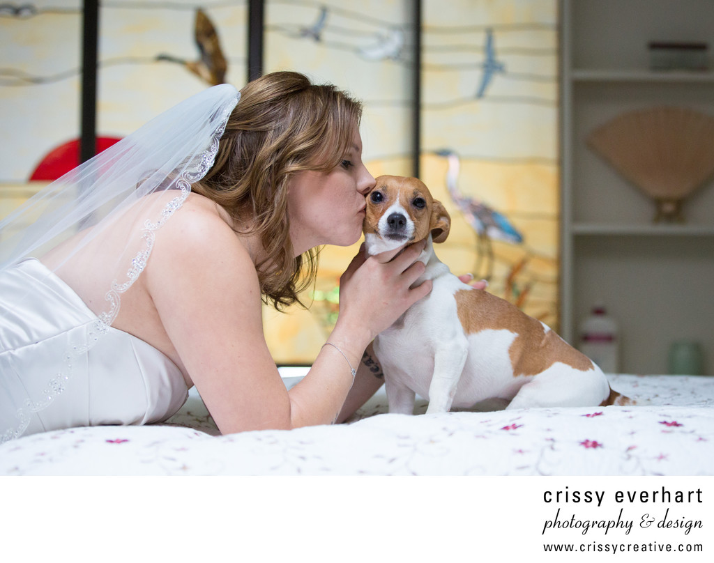 Bride Kissing Dog on Wedding Day - Pet Wedding Photos