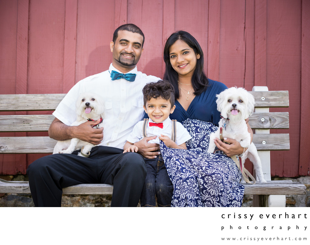 Family Portraits with Pets in Chester County
