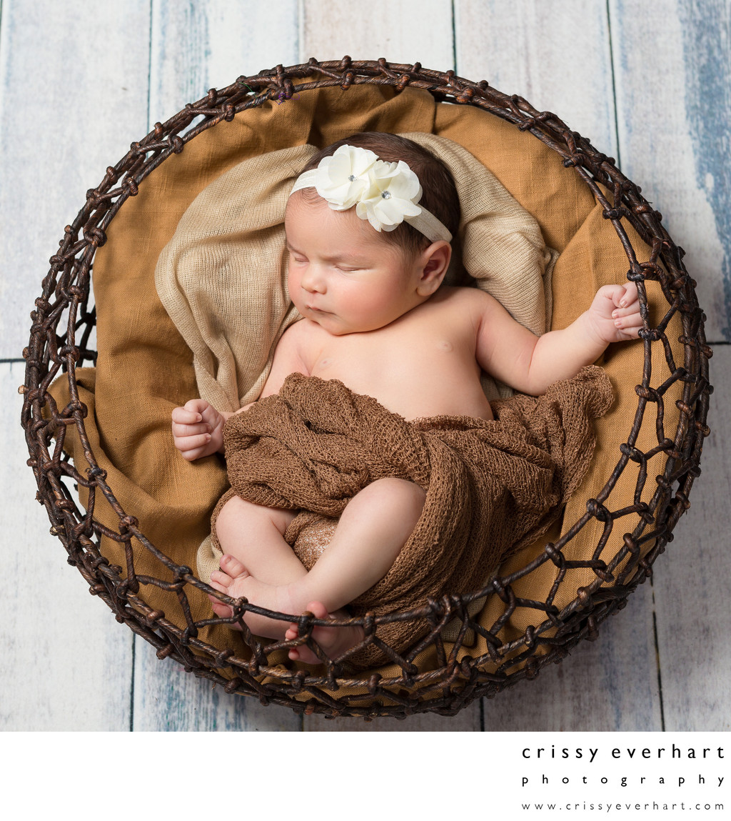 Newborn Baby Girl in Basket - Malvern Photographer
