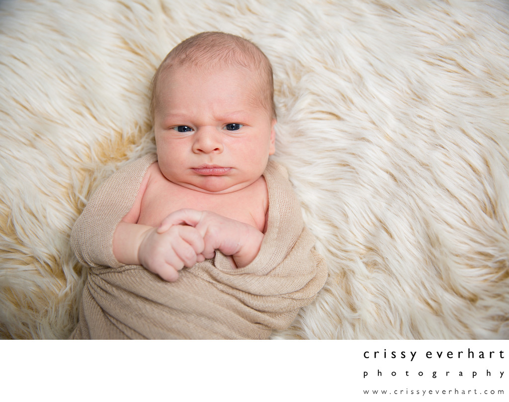 Professional Baby Portraits in Malvern Studio
