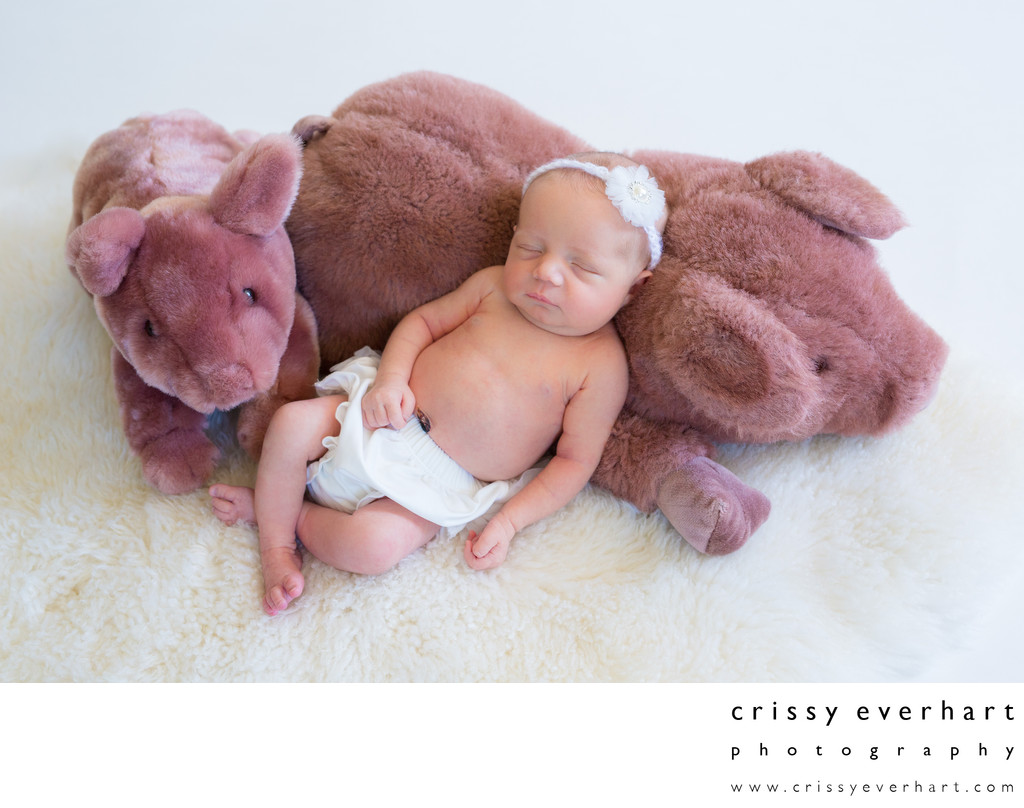 Paoli Newborn Photographer - Girl with Stuffed Animals