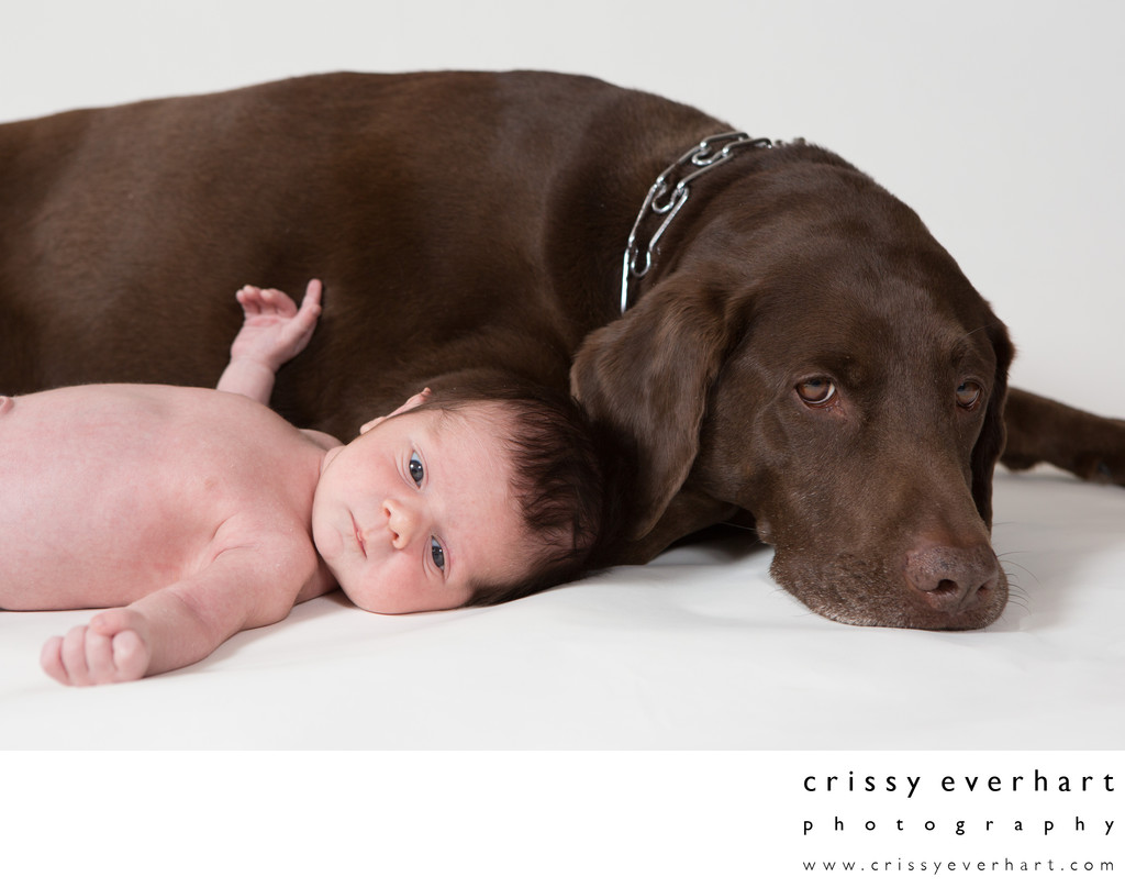 Newborn with Pet Photographer - Baby Boy with Dog