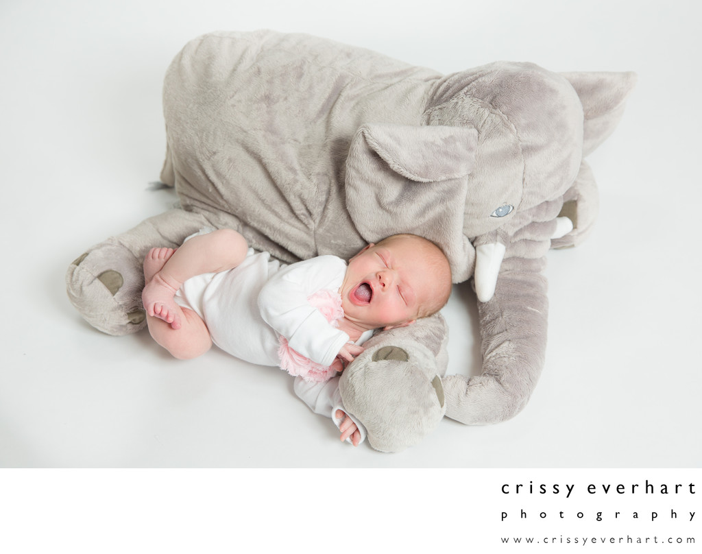 Malvern Baby Photos - Girl Yawns on Stuffed Elephant