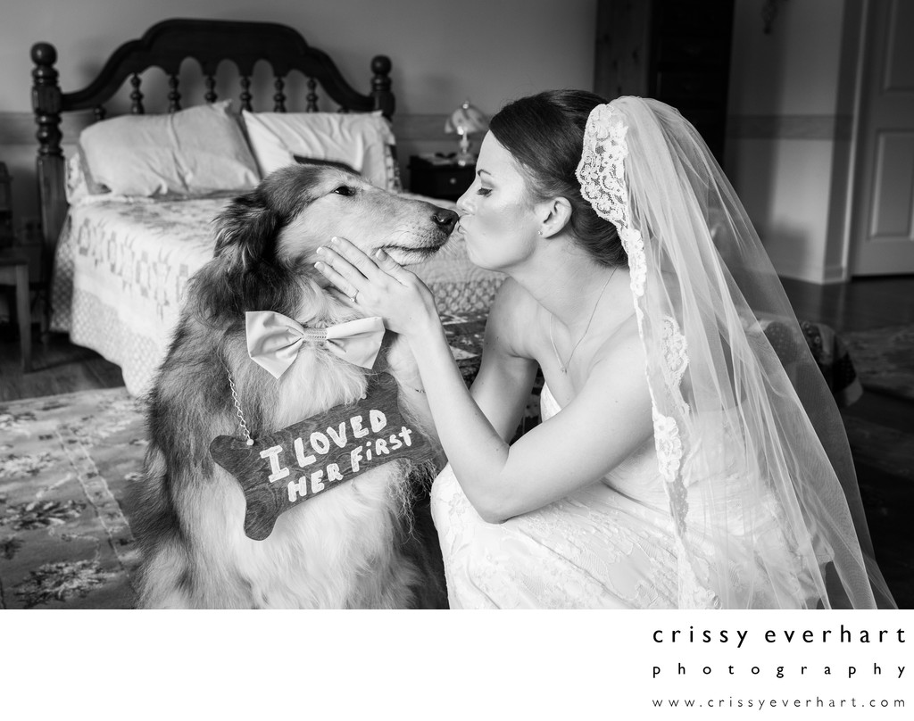 Bride Kissing Dog with 