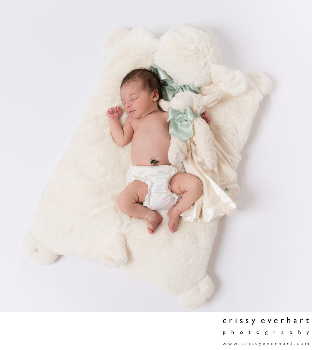 Sleeping Baby on Stuffed Lamb Blanket