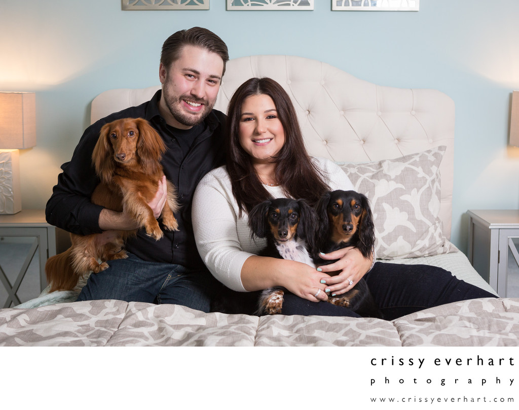 Anniversary Photos with Dachshunds - Pet Photographer