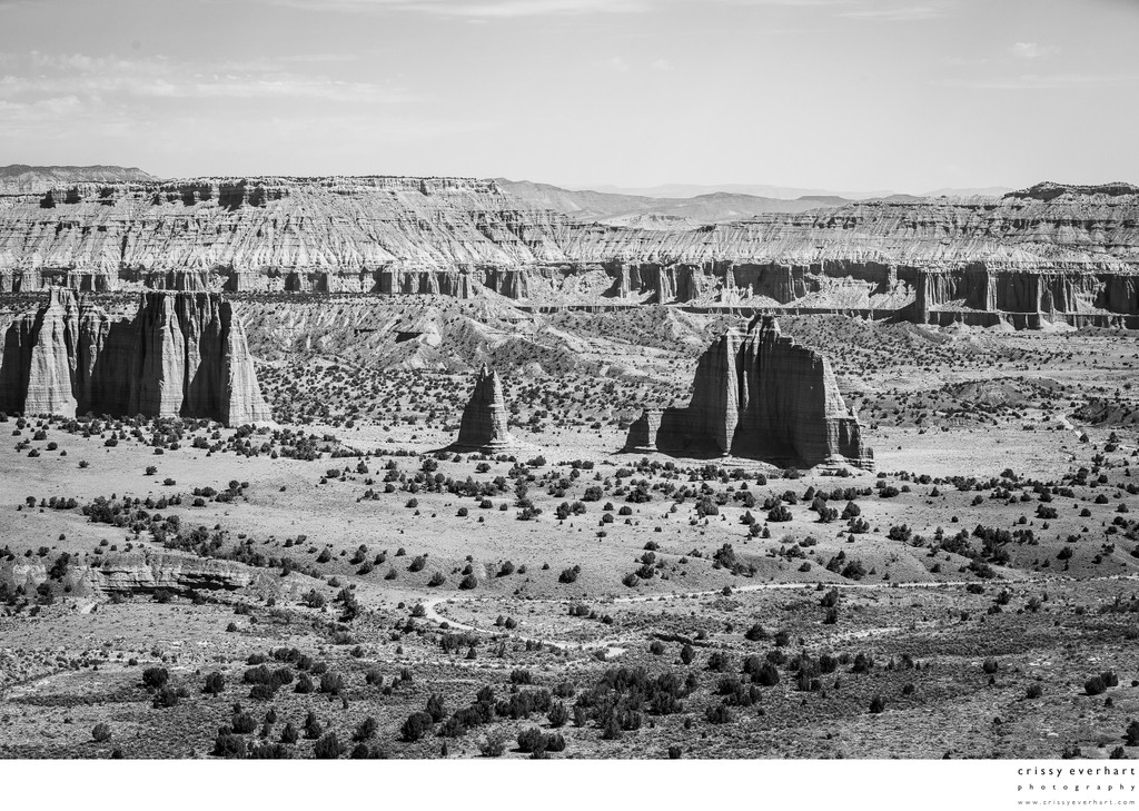 Deserted Canyonlands in Black and White
