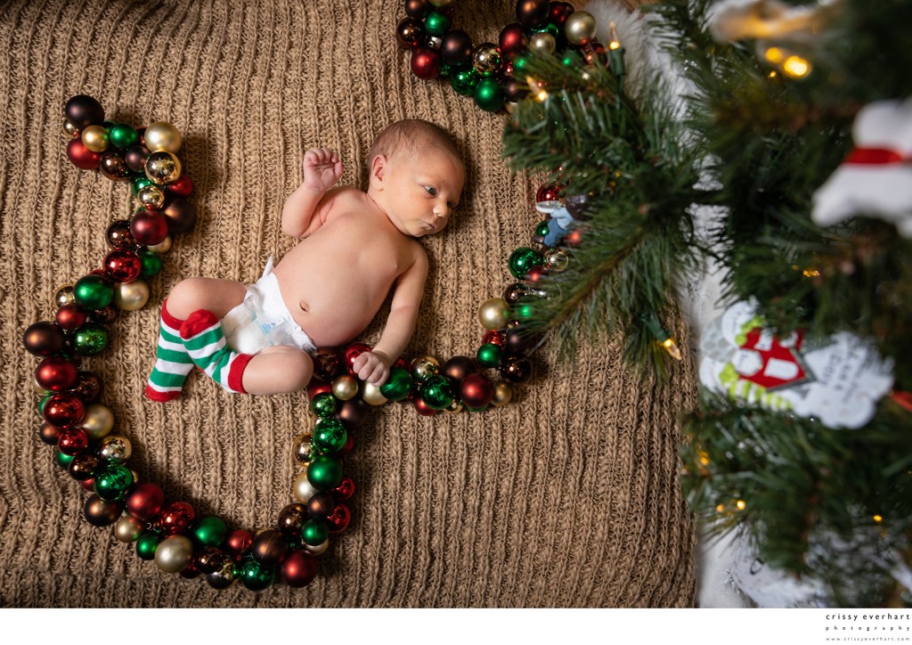 Newborn Photos Under Christmas Tree