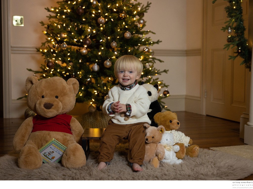 Teddy Bear Christmas Photos
