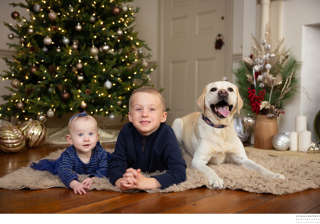 Kids and Dog in Front of Christmas Tree