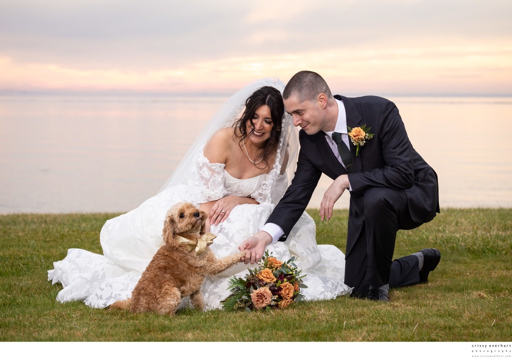 Wedding Portraits with Dog