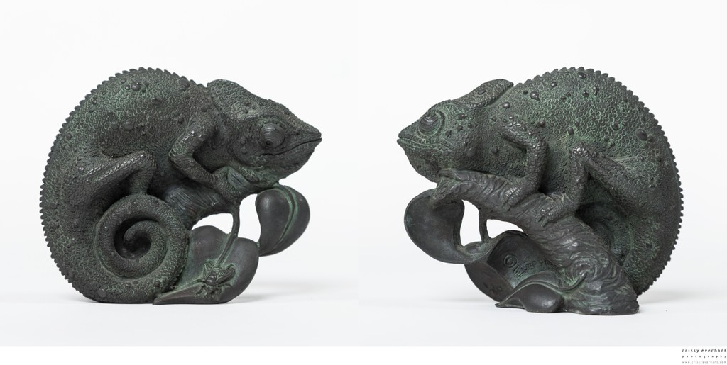 Photographer of Fine Art Sculpture