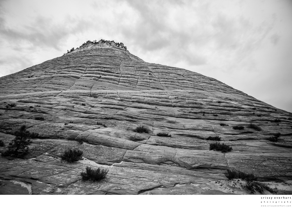Zion National Park Beehive - Black & White Photography