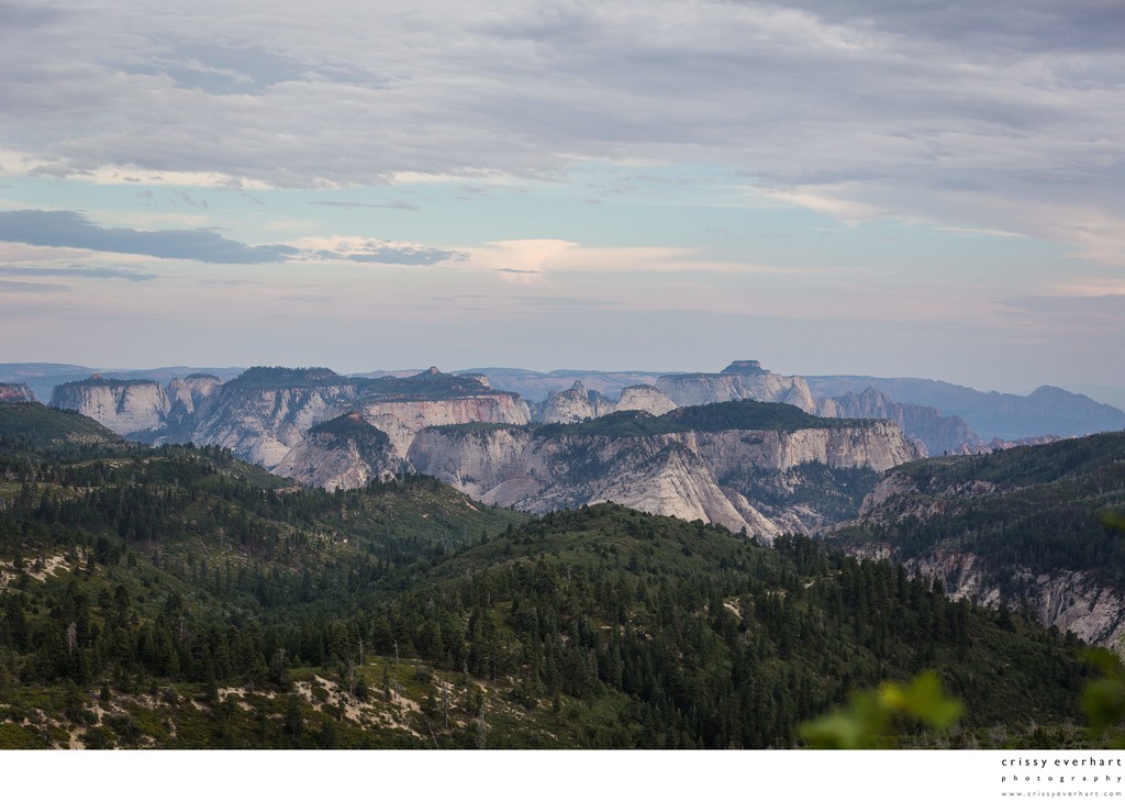 The Landscapes of Zion - Landscape Photographer