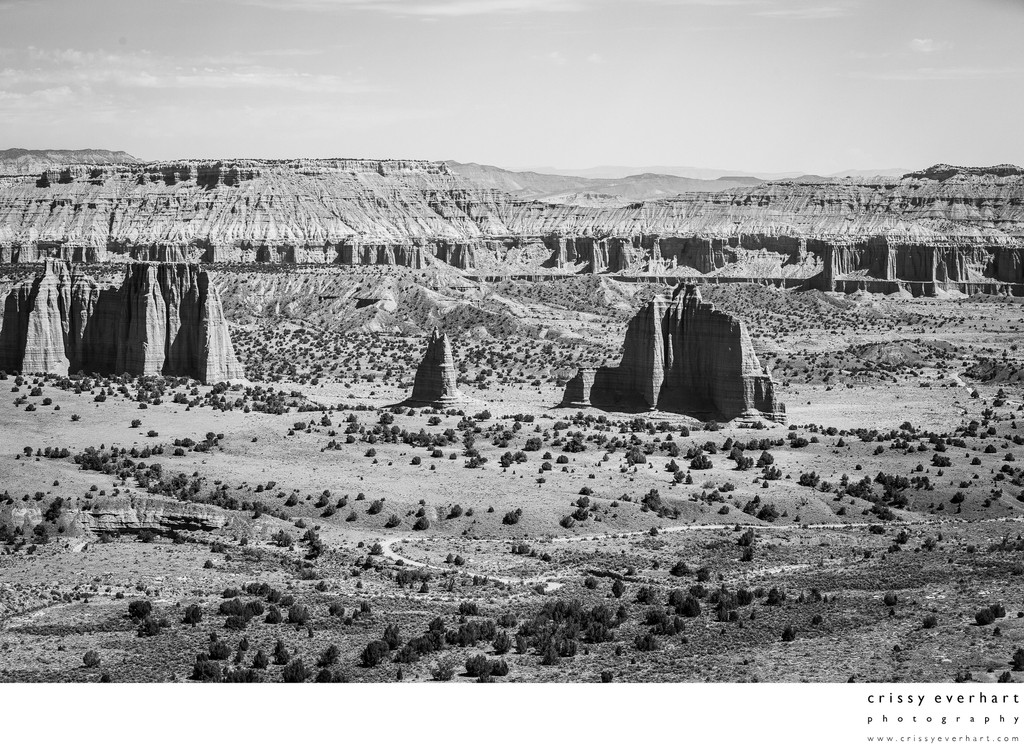 Deserted Canyonlands in Black and White