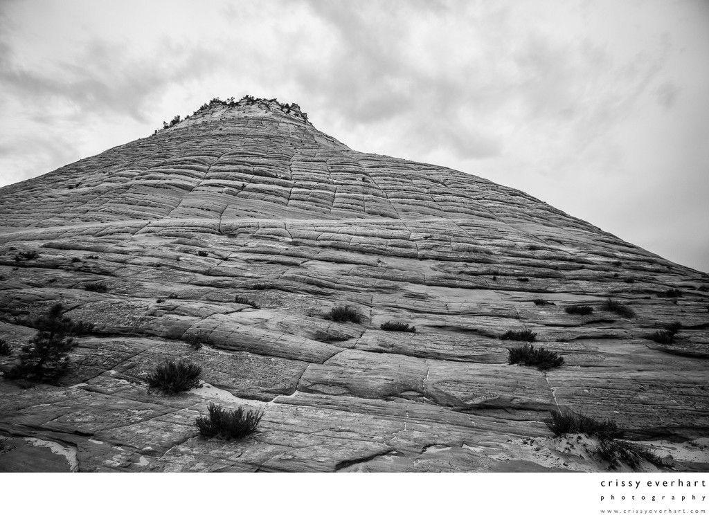 Zion National Park Beehive - Black & White Photography