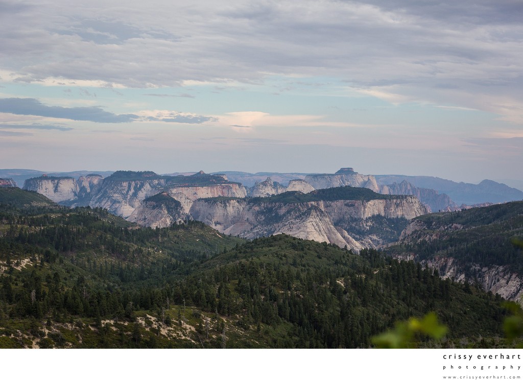 The Landscapes of Zion - Landscape Photographer