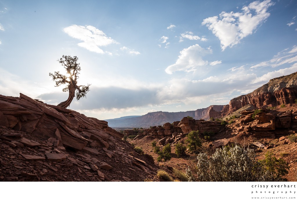 Canyonlands National Park, Utah Landscape Photography